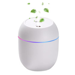 Mini Humidifier, 250ml Small Humidifier for Plants, Personal Humidifier with 7 Color LED Night Light, 2 Mist Mode Travel Humidifier for Bedroom Office Desktop Car Home, Quiet Humidifiers for Sleeping