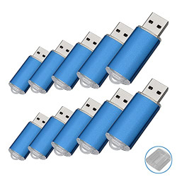 RAOYI 10Pack 2G 2GB USB Flash Drive USB 2.0 Memory Stick Thumb Drive Pen Drive Blue