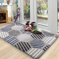 Color G Indoor Door Mat,Super Absorbent Rugs for Entryway Front Door Mat, Non Slip Washable Resist Dirt Entry Rug 24 x36 