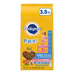 PEDIGREE Puppy Growth & Protection Dry Dog Food Chicken & Vegetable Flavor Dog Kibble, 3.5 lb. Bag