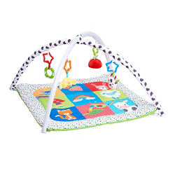 Early Learning Centre Blossom Farm Playmat & Arch, Physical Development, Hand Eye Coordination, Stimulates Senses, Baby Toys 0+ Months, Amazon Exclusive, by Just Play