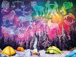 Buffalo Games - Follow Your Destiny - 750 Piece Jigsaw Puzzle