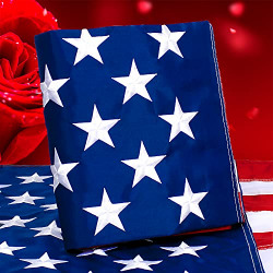 American Flag 2.5x4 USA Flag - Heavy Duty Nylon US Flags 2.5x4 Outdoor,Embroidered Stars and Sewn Stripes American Flags Outside Hanging Weatherproof Standard American Flag