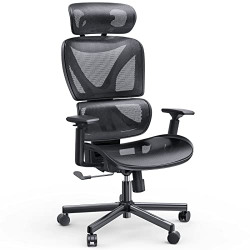 NOBLEWELL Ergonomic Office Chair, Office Chair High Back, Mesh Computer Chair with Lumbar Support, 3D Armrest, Double Backrest and Adjustable Headrest