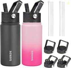 BJPKPK 2 Pack Insulated Water Bottles with Straw Lids