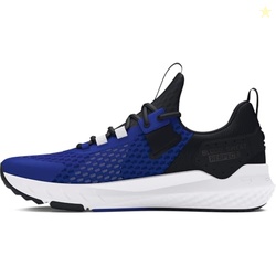 Under Armour Men's Project Rock Blood Sweat Respect 4, (401) Team Royal/Black/White, 10, US