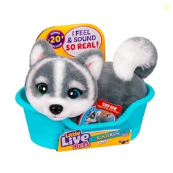 Little Live Pets My Really Real Puppy Mini Aurora The Husky, Interactive Plush Toy with Display Basket, 20+ Sounds and Reactions, Puppy Toys for Kids