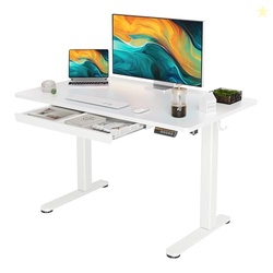 YDN Standing Desk with Drawers, 48 x 24 Inch Electric Adjustable Height Stand Up Desk, Sit Stand for Home Office, White