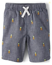 Gymboree,Boys,and Toddler Embroidered Shorts,Indigo Carrot,5T