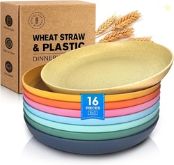 Teivio 16-Piece Wheat Straw Kids Plates