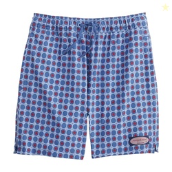 Vineyard Vines Boys' Printed Chappy Swim Trunks, Anchor Blue Wave, 2T