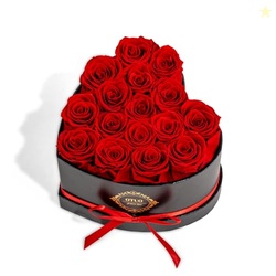 Otuo 16 Preserved Roses in Heart-Shaped Box, Flowers for Delivery Prime Last up 2 Years, Real Forever Flowers for Wife, Girlfriend, Mother, Eternal Roses for Anniversary - Red