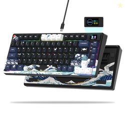 Womier SK80 75% Keyboard with Color Multimedia Display Mechanical Gaming Keyboard Creamy Sound, Wired Hot Swappable Gasket Mount RGB Custom Key Board, Pre-lubed Stabilizer for Mac/Win, Black Kanagawa