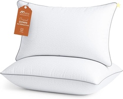 Sasttie Pillows Queen Size Set of 2
