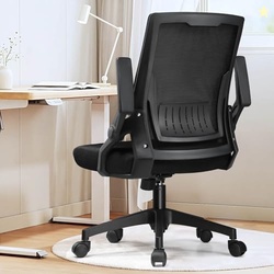 GTPLAYER Ergonomic Office Chair with Flip-up Armrests Executive Comput