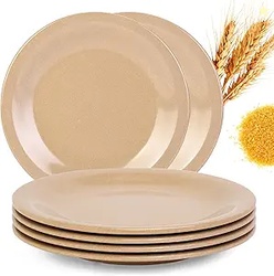 Wheat Straw and Resin Dinner Plate - 6 Pcs