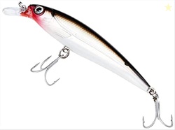 Rapala X-Rap Saltwater 10 Fishing Lures (Silver , Size- 4)