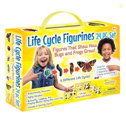 Insect Lore's Life Cycle Figurines 24 Pc Set | Butterfly, Ladybug, Fro