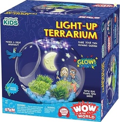Wow in The World Light-UP Terrarium