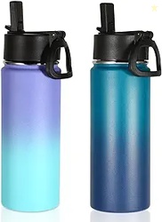 Insulated Water Bottle Bulk 2 Pack