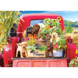 RoseArt - Kodak Premium - Stowaways - 1000 Piece Jigsaw Puzzle for Adu