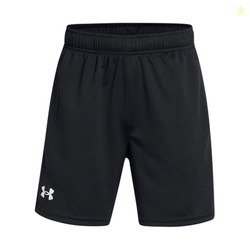 Under Armour Boys Tech Mesh Shorts, (001) Black / / White, Large