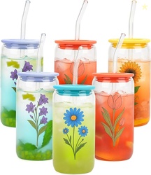 6 Pack Glass Cup with Silicone Lid and Straw 
