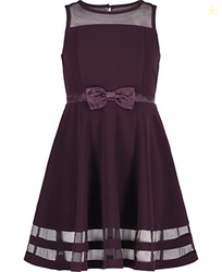 Calvin Klein Big Girls' Sleeveless Party Dress, Dark Purple, 12