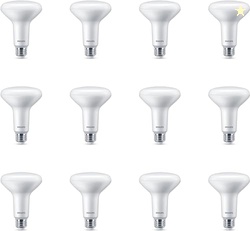 PHILIPS LED 65W BR30 12-Pack Basic LED Soft White (2700K) 650 Lumen (7