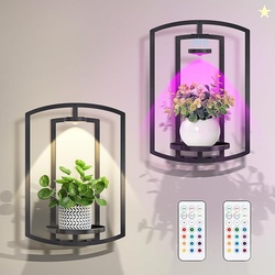 Wall Plant Holder with Remote Grow Lights