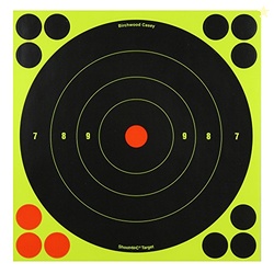 Birchwood Casey Shoot-N-C Bull's Eye Target (8-Inch) Pack of 6 with 72