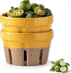 Gomakren Ceramic Berry Basket Set of 2