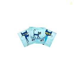Educational Insights Fluorescent Light Covers 3-Pack: Pete the Cat The