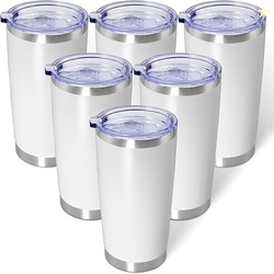 AIANJI Bulk Stainless Steel Tumblers ( 6 pack)
