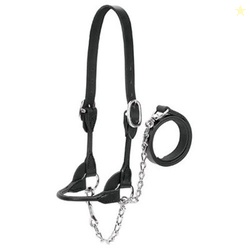 Weaver Leather Livestock Dairy/Beef Rounded Show Halter, Black, Large