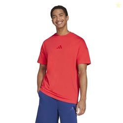 adidas Men's All SZN Sportswear T-Shirt, Pure Ruby, X-Large/Tall