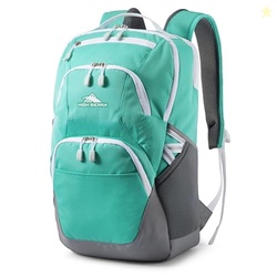 High Sierra Swoop SG Backpack, Travel or Work Laptop Bookbag with Drop