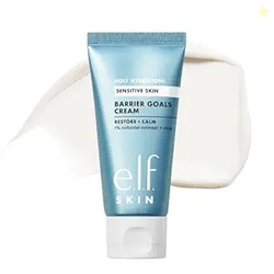 e.l.f. SKIN Holy Hydration! Barrier Goals Cream