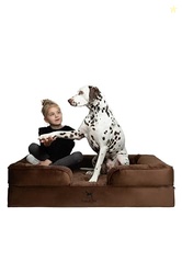 NOAH & PAW XL Dog Bed, 45x35x11 Inch, Orthopedic Large Dog Beds, Eggsh