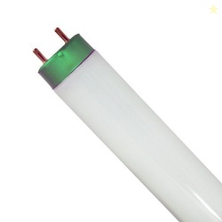Philips 479634 - F32T8/TL950/ALTO 32 Watt - T8-36,000 Hours - 2600 Lum