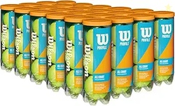 Wilson Profile All Court Tennis Balls - Single Can 4 Cans (12 Balls), 