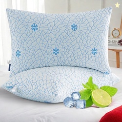 EMONIA Cooling Memory Foam Queen Pillows Set of 2Adjustable Support & 