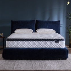 Blinddarm Queen Mattress 10 inch Hybrid Memory Foam Mattress in a Box 