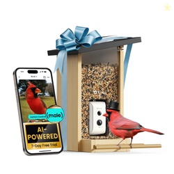 Birdfy Smart Bird Feeder with Camera Bird Watching Camera with Solar P