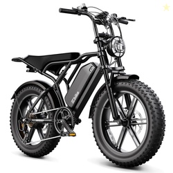 TST Electric Bike for Adults 750W Peak 1500W Motor 20"x4" Fat Tire E M