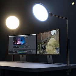 Weilisi 10.2" Desk Ring Light with Stand, 360 Rotate Desk Lamps for Ho