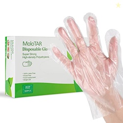 MoloTAR 500 Pieces Plastic Disposable Gloves,Disposable Gloves for Cle