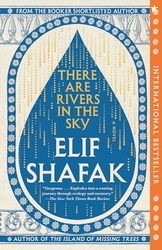 There Are Rivers in the Sky: A novel