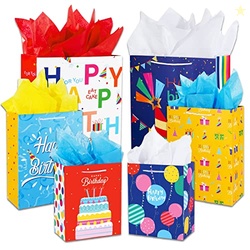 Birthday Gift Bag with Handle and Tissue Paper, 12 Pcs Gift Bags Assor