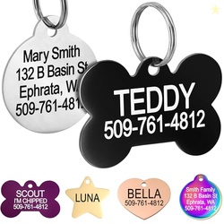 GoTags Dog Tags Personalized Engraved Pet ID Tags, Stainless Steel, Fr